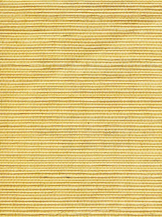 Scalamandre WTWGT3932 Organic Sisal Cornsilk Wallpaper