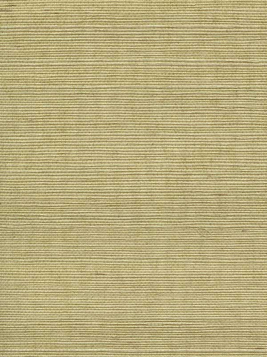Scalamandre WTWGT3951 Organic Sisal Springtime Wallpaper