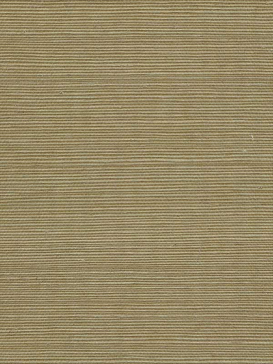 Scalamandre WTWGT3954 Organic Sisal Ferndale Wallpaper