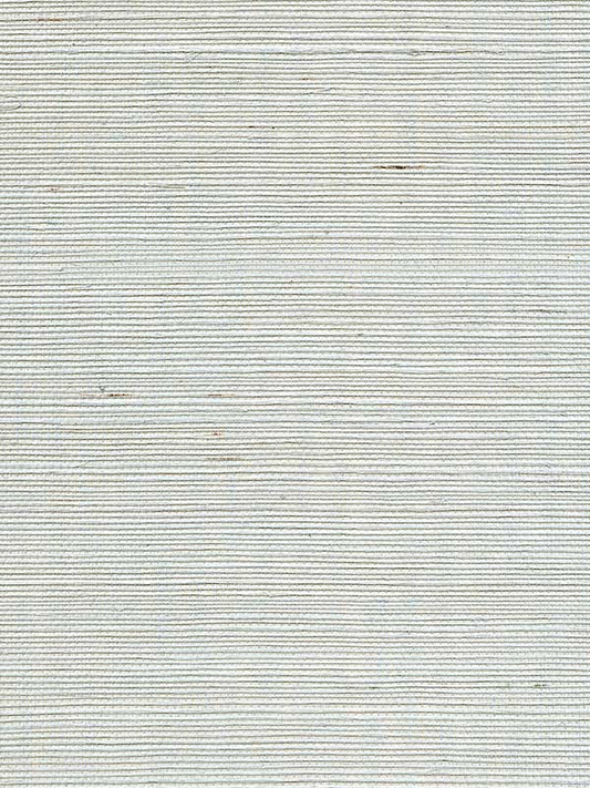 Scalamandre WTWGT3980 Organic Sisal Refresh Wallpaper
