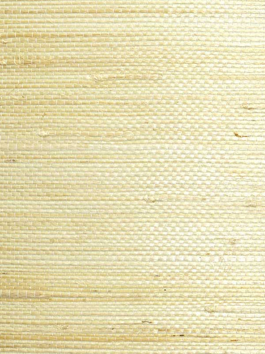 Scalamandre WTWSG5635 Natural Jute Cotton Wallpaper