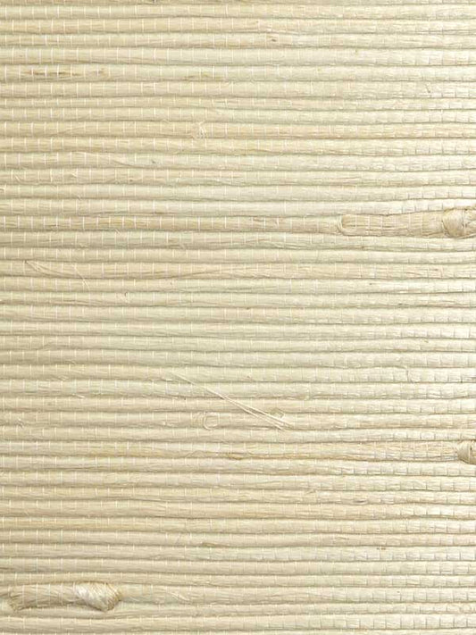 Scalamandre WTWSG5636 Natural Jute Cotton In The Raw Wallpaper