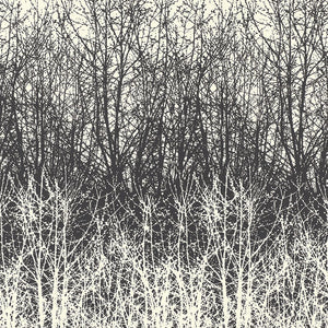 Schumacher - Birches - Black/White - 2707243 - Wallpaper