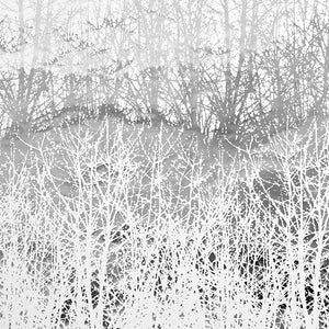 Schumacher - Birches - Silver - 2707244 - Wallpaper
