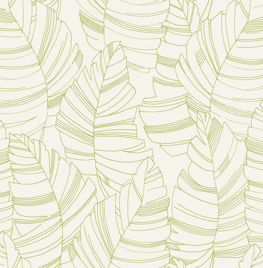 Seabrook Jungle Leaves Green Apple Wallpaper