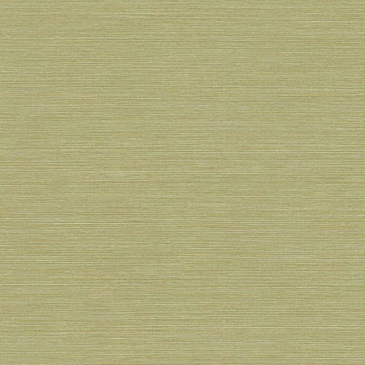Seabrook Coastal Hemp Lime Moss Wallpaper