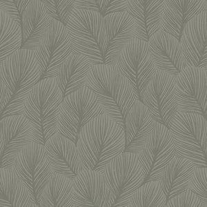 schumacher - pine tree - sage - 4704 - wallpaper