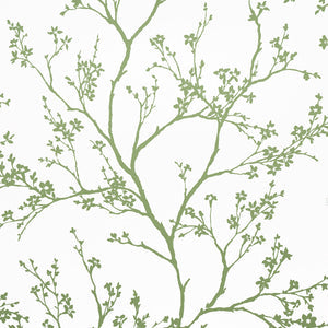 Schumacher - Twiggy - Green - 5003345 - Wallpaper