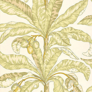 schumacher - blair house palm - kiwi - 5004062 - wallpaper