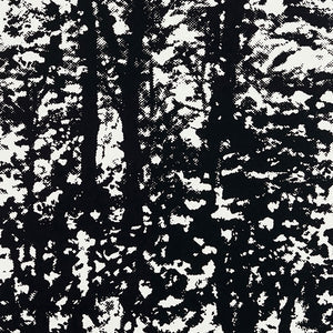 Schumacher - Woodland - Night - 5007444 - Wallpaper