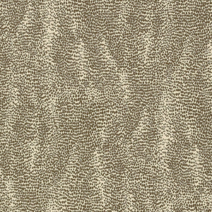 schumacher - drizzle - java - 5007573 - wallpaper