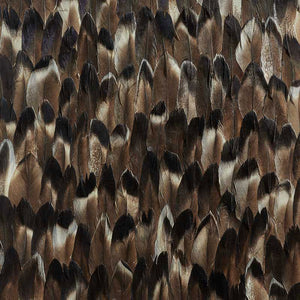 schumacher - pyrite - black smoke - 5008382 - wallpaper