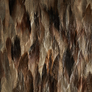 schumacher - iridium - tail - 5008406 - wallpaper