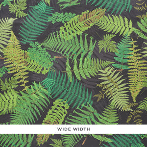schumacher - fernarium - black & leaf - 5009191 - wallpaper