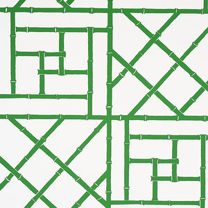 Schumacher - Trellis - Safari Green - 5012571 - Wallpaper