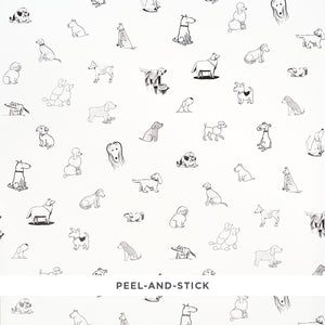 Schumacher - Good Dogs Everywhere - Black & White - 5016300 - Wallpaper