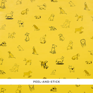 schumacher - good dogs everywhere - taxi-cab yellow - 5016301 - wallpaper