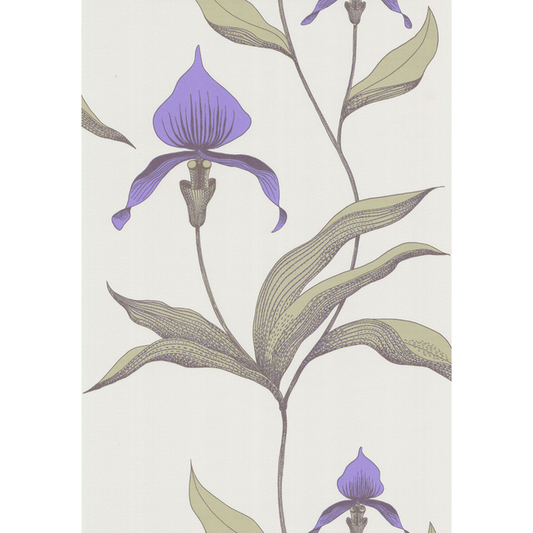 Cole & Son - Orchid - White/M - 66/4024.CS.0