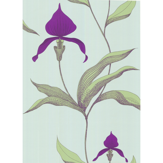 Cole & Son - Orchid - Turquoi - 66/4027.CS.0