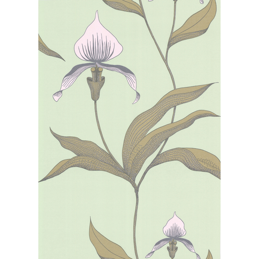 Cole & Son - Orchid - Pale Gr - 66/4028.CS.0