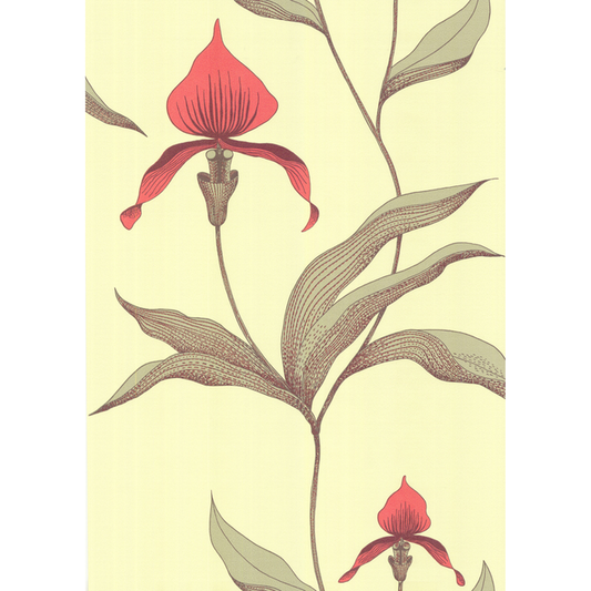 Cole & Son - Orchid - Lime/Or - 66/4033.CS.0