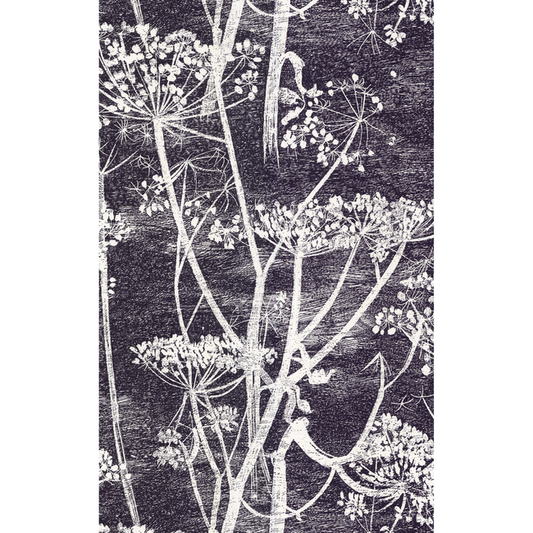Cole & Son - Cow Parsley - White/Blk - 66/7046.CS.0