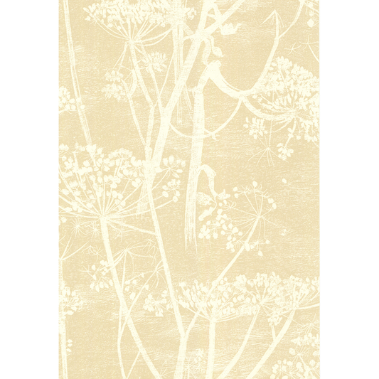 Cole & Son - Cow Parsley - White/Bge - 66/7049.CS.0