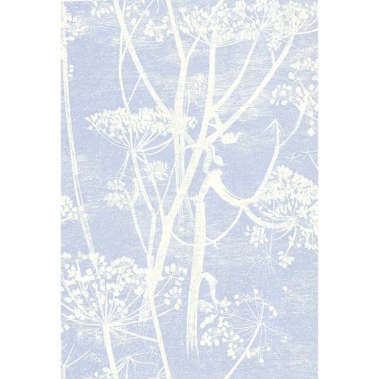 Cole & Son - Cow Parsley - White/Blu - 66/7050.CS.0