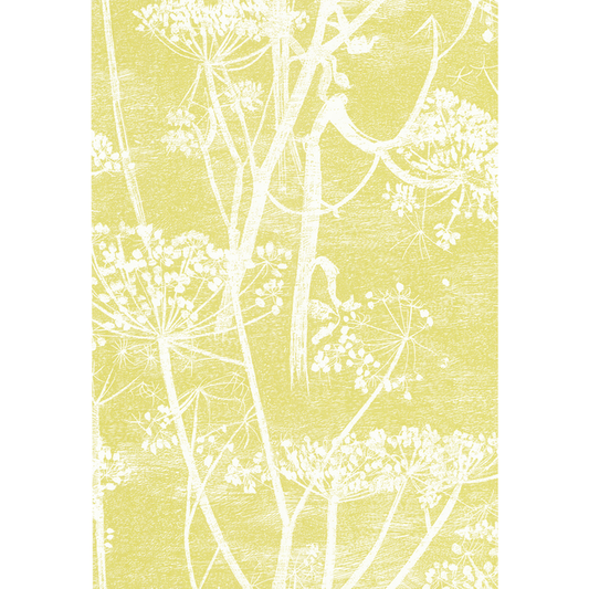 Cole & Son - Cow Parsley - White/Y - 66/7051.CS.0