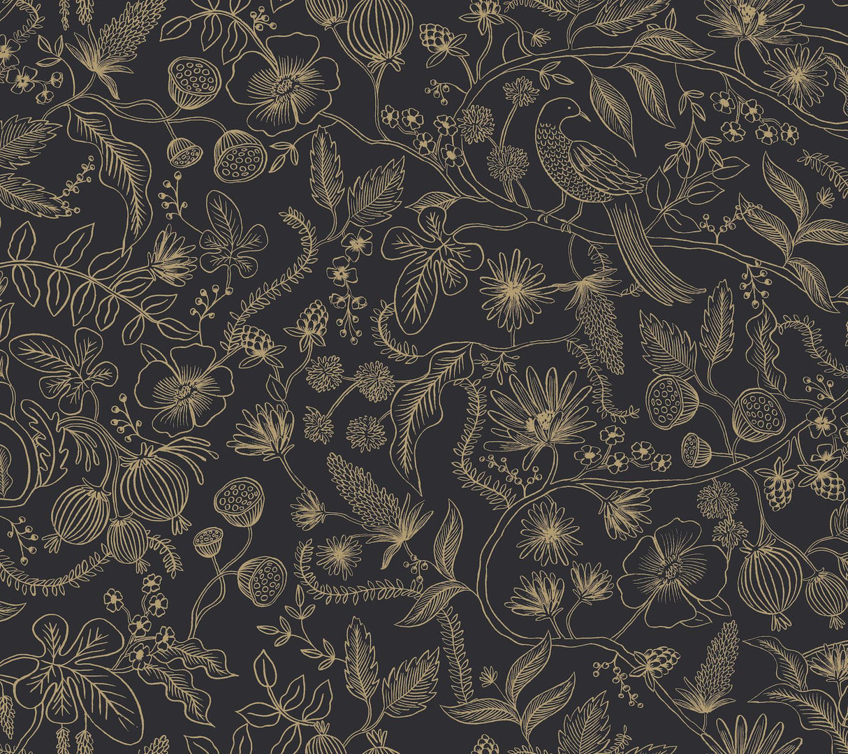rifle paper co. aviary peel and stick black/gold wallpaper