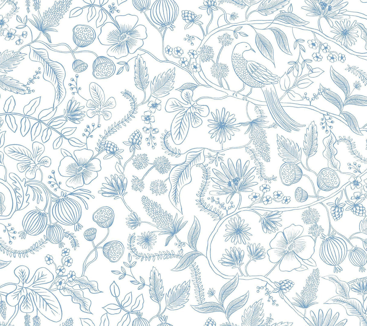 rifle paper co. aviary peel and stick blue/cream wallpaper