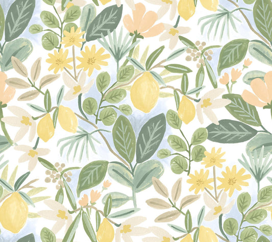 Rifle Paper Co. Amalfi Peel And Stick Pink/Green Wallpaper