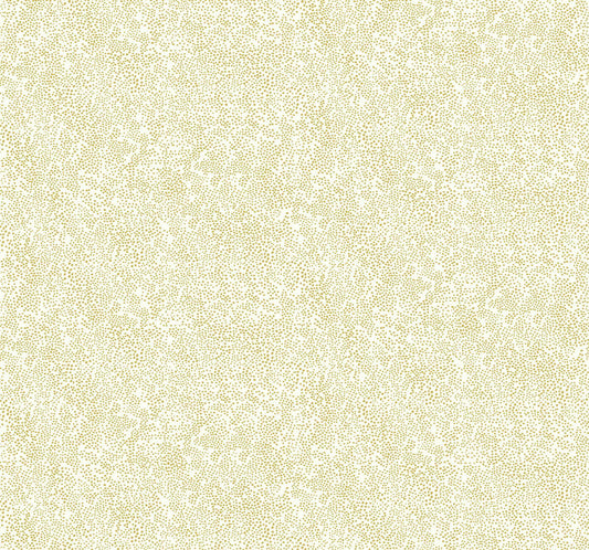 Rifle Paper Co. Champagne Dots Gold/White Wallpaper