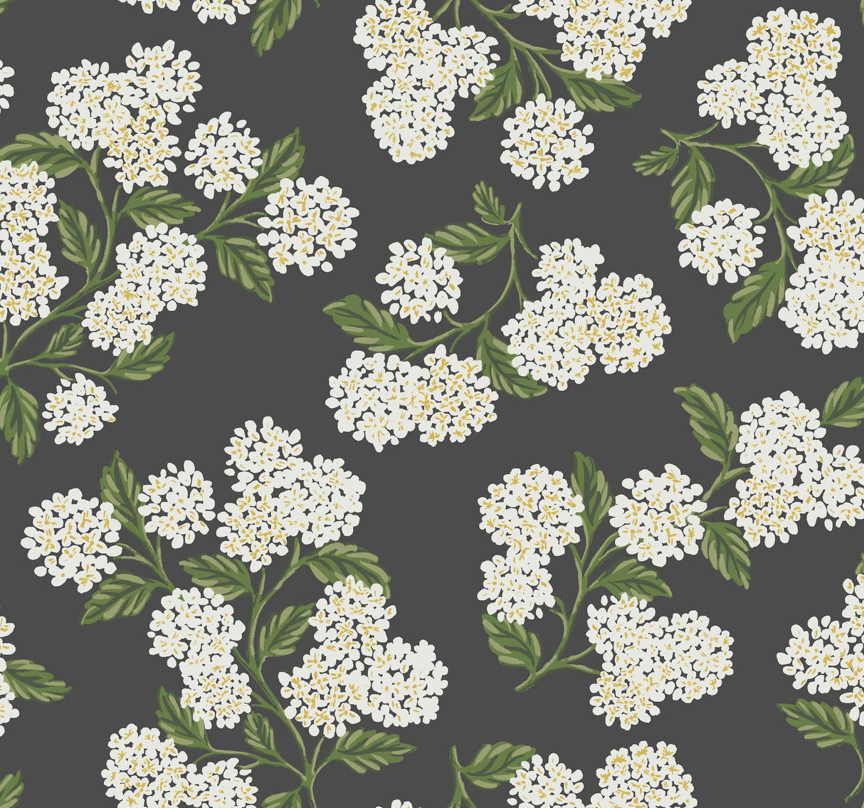 rifle paper co. hydrangea black/white wallpaper