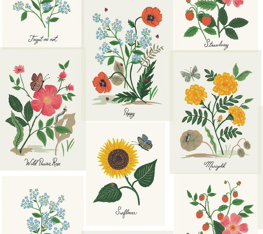 Rifle Paper Co. Botanical Prints White Wallpaper