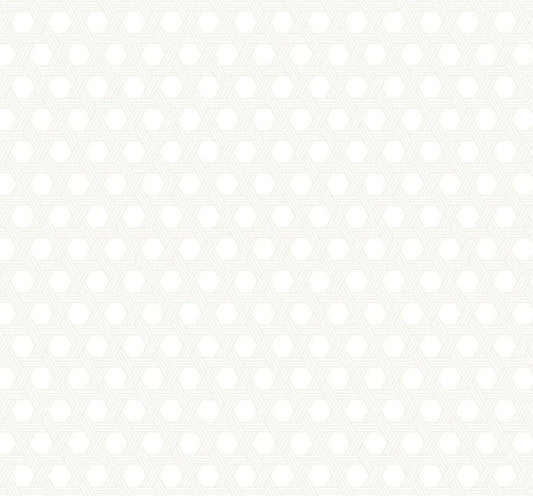 Seabrook Cabana Wicker Gray And Eggshell Wallpaper
