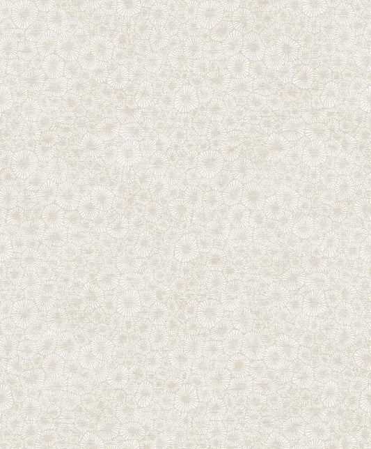 Seabrook Windham Shells South Sea Pearl Wallpaper