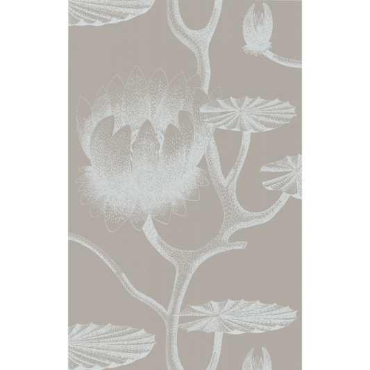 Cole & Son - Lily - White/Grey - 69/3110.CS.0