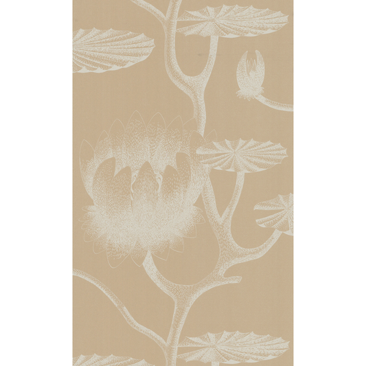 Cole & Son - Lily - Ivory/Sand - 69/3113.CS.0