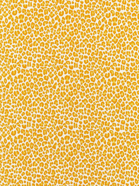 scalamandre backyard bengal tangerine fabric - scala 27316-002