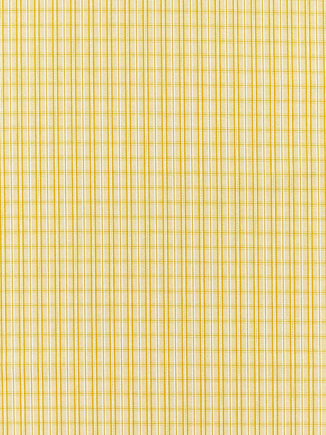 scalamandre check please | outdoor goldenrod fabric - scala 27318-002