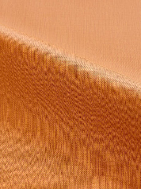 Scalamandre Lauren Mesa Fabric - SCALA 27264-010