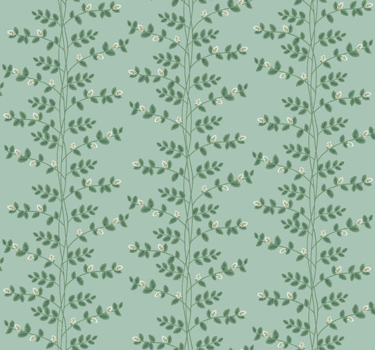 Rifle Paper Co. Climbing Vine Green Wallpaper