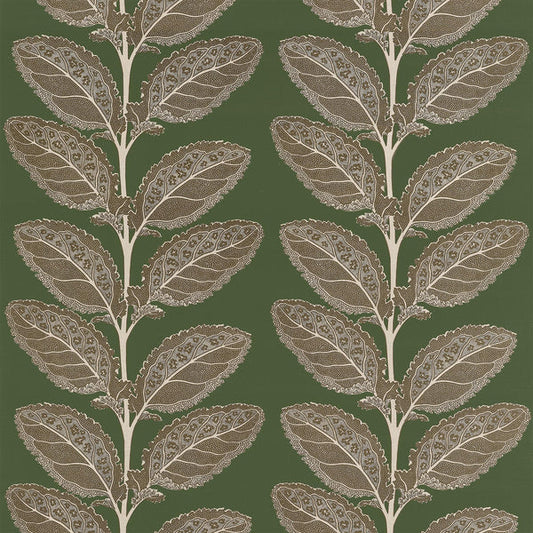 Thibaut Lacinato Fabric F912040