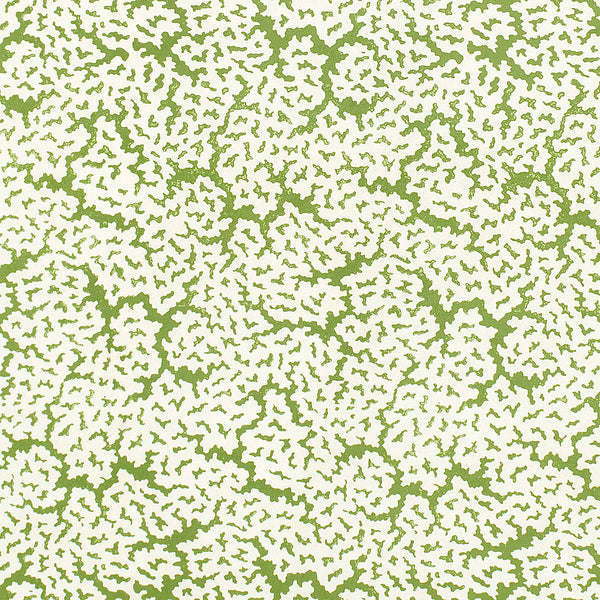 thibaut maldives fabric f942041
