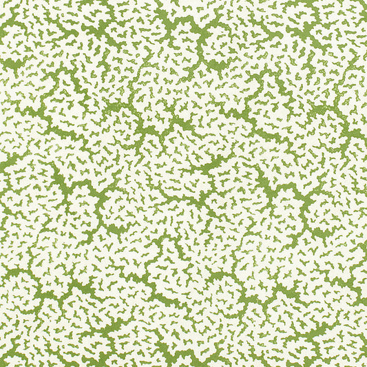 Thibaut Maldives Fabric F942041