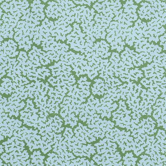 Thibaut Maldives Fabric F942044