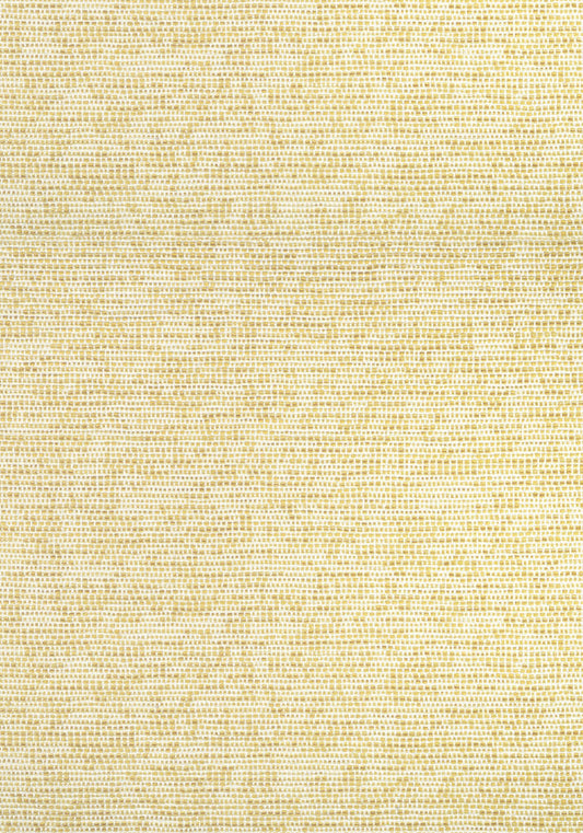 Thibaut Borealis Fabric W75232