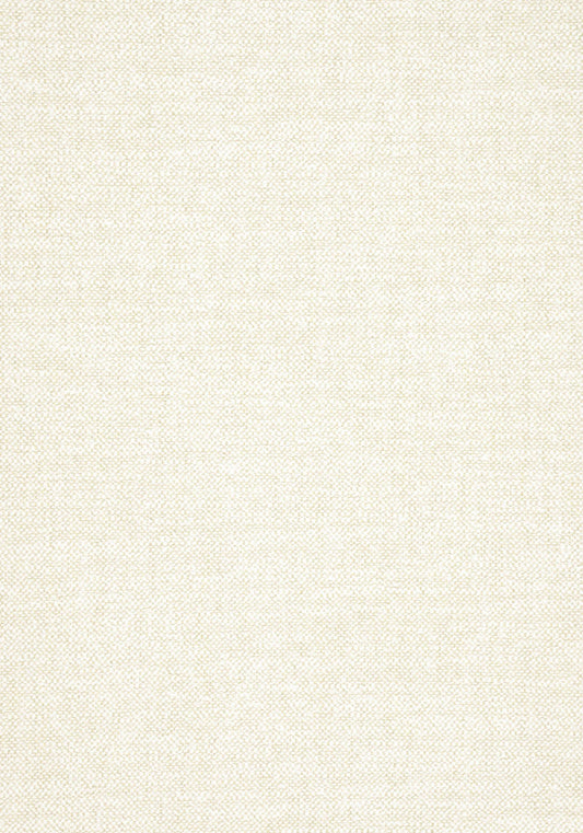 Thibaut Sasso Fabric W77102