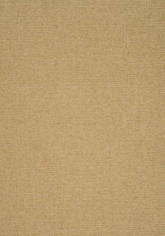 Thibaut Sasso Fabric W77104